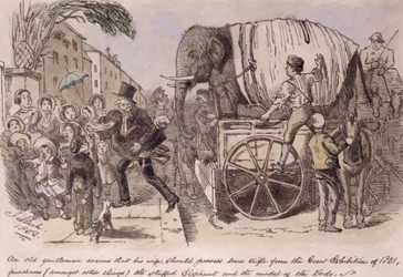 Un vecchio signore ansioso che sua moglie possieda qualche oggetto dalla Grande Esposizione del 1851, acquista (tra le altre cose) l